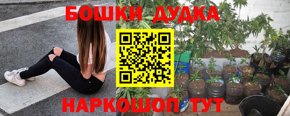 Мирный  Каннабис сатива  Вход с VPN  Бошки марихуана LSD WEED 